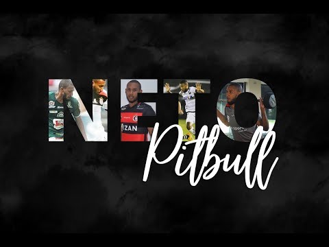 DVD NETO PITBULL