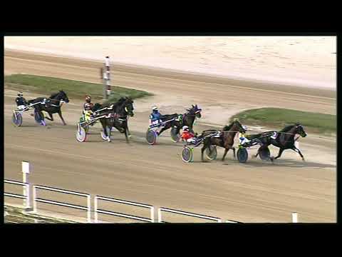 Trotto 18/10/2020 - 2ª corsa