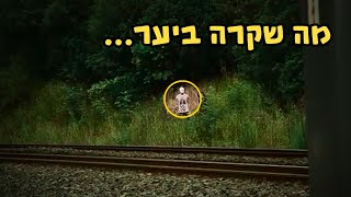 6 צילומים הכי מפחידים שנתפסו ביערות(אל תצפו לבד)