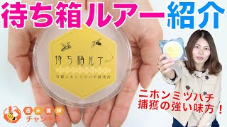 ニホンミツバチ捕獲の強い味方！【待ち箱ルアー紹介】