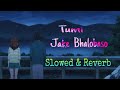 Tumi Jake Bhalobasho | Slowed and Reverb | Praktan | Iman | Anupam