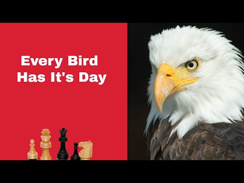 Every Bird Has Its Day | Henry Edward Bird vs Wilhelm Steinitz: London 1867