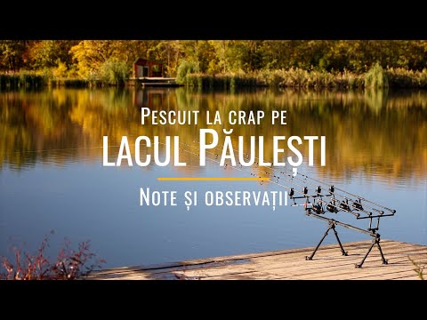 Pescuit la crap pe lacul Păulești - note și observații
