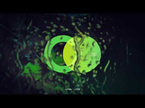 SHAZZE - Twin Peaks (Original Mix) // Area Verde