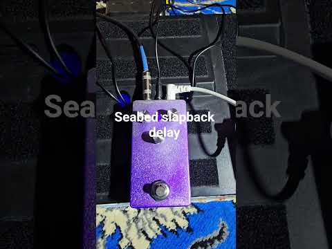 PedalPCB Seabed Delay 2026 - Purple Haze image 4