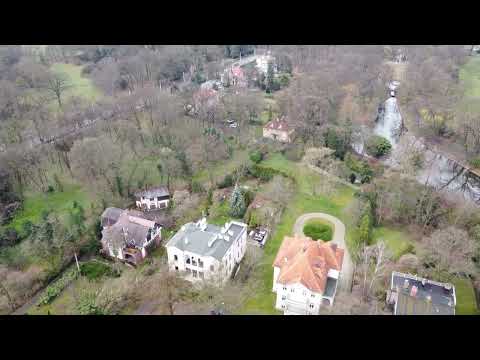 [CityAmbient] Wille i drzewa w Parku Szczytnickim we Wrocławiu