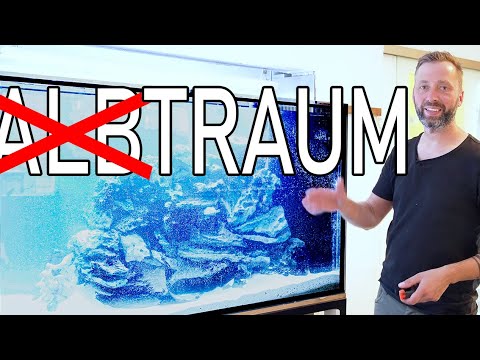 Kaputtes 750l Aquarium wird Ausgetauscht