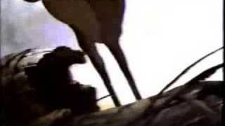 Download lagu Bambi - Trailer #1 (1988 re-release) mp3
