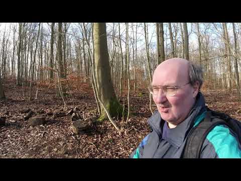 MongoTV_4287 - Gåtur Til Frederiksdal TORSDAG 13.Februar 2020