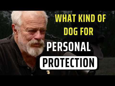 What Kind Of Dog For Personal Protection
