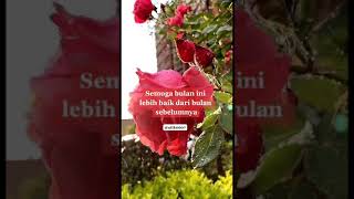 Download lagu STORY WA UCAPAN SELAMAT DATANG NOVEMBER || STORY WA KEREN || STORY WA TERBARU 2020 mp3