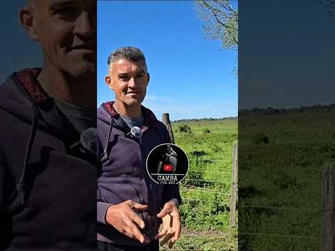 Así se vive en el CHACO PROFUNDO 🇦🇷 | La vida rural del norte de Argentina #chacoargentina