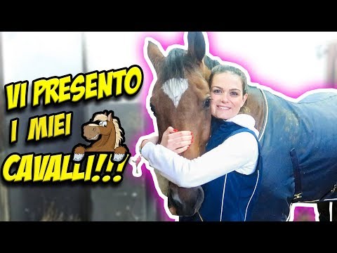 Vi presento i miei CAVALLI!!!