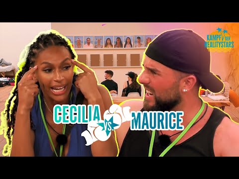 Stress: Wer ist der bekanntere Realitystar? 💥 | Kampf der Realitystars - Staffel 5 #1