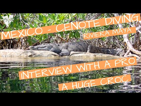 DIVING THE MAYAN RIVIERA, MEXICO 4K - CENOTES, CAVE DIVING, CROCODILES, TULUM, AKUMAL - TAJMA HA!