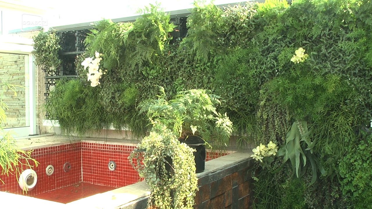 Social do Diário: Descubra a técnica wall green; veja vídeo