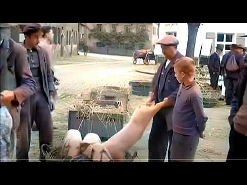 Das ländliche Deutschland im Jahr 1937 | Restaurierte und kolorierte Bilder