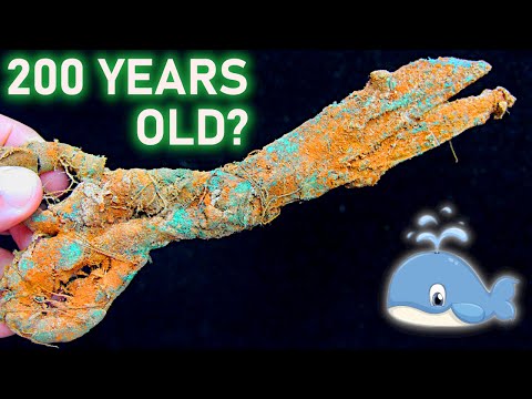 Antique Whale Scissors Restoration ::  200 years old ?