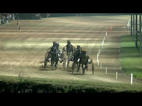 2019.11.16. 07. futam - 2019. ÉVI AMATŐR KUPA XI. FUTAMA HENDIKEP