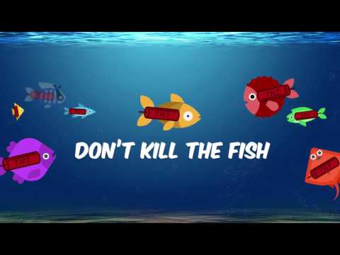 Don't Kill The Fish Video