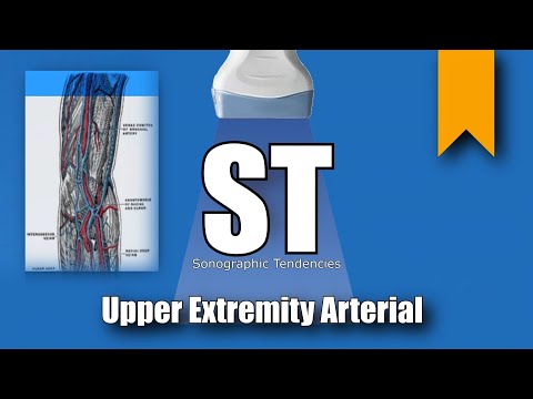 Upper Extremity Arterial Duplex Anatomy and Protocol