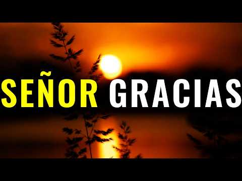 GRACIAS Señor Por Todo Lo Que Me Has Dado ¦ Oración, Gratefulness #oraciondehoy