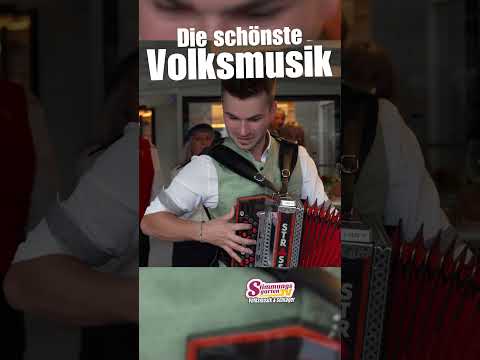 Die schönste Volksmusik! #volksmusik  #oberkrainer  #harmonika  #steirischeharmonika