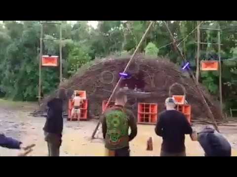 Noizebug - Mad Forest 🇧🇷 2019