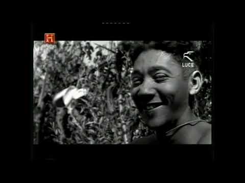 Força Expedicionária Brasileira in Italia