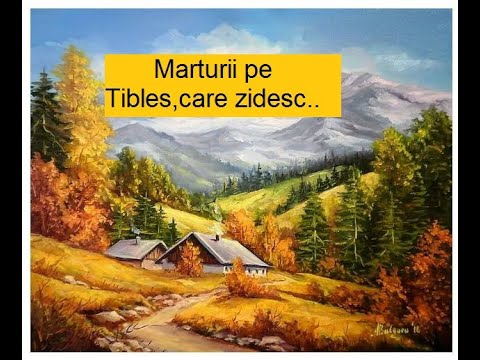 Țibleș 2017- Badea Stefan, o mărturie care merită ascultată...