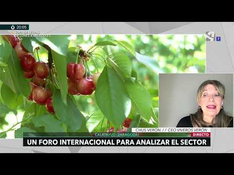 Fotograma del vídeo: Viveros Verón en Conexión Aragón: Innovación y sabor en la fruta de hueso. Aragonés Hub Innovation
