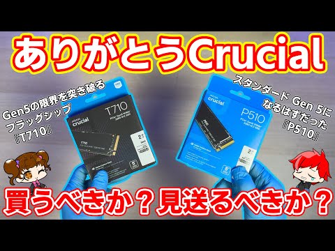 【ありがとう】Crucial最後のGen 5 M.2 SSD、T710とP510、買うべきか？見送るべきか？最後の比較・検証【自作PC】