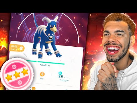 EVOLUIDO E MAXIMIZANDO MEU HOUNDOOM SHINY 100% - POKEMON GO | Cris |