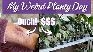 Unexpected Planty Payday + Other Surprising Life Updates