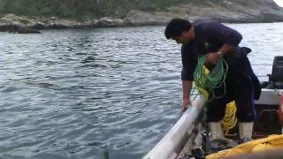 preview picture of video 'Pescadores de la Caleta de Zapallar'