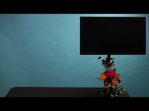 Video-Atempause macht Pause bis einschl. 28.1.2019.