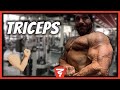 ZMF : Tricep Training in Vegas