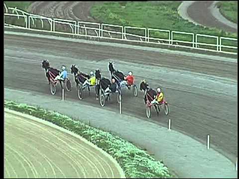 Trotto 15/10/2015 - 2° prova di qualifica