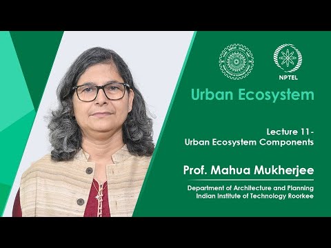 Lecture 11: Urban Ecosystem Components