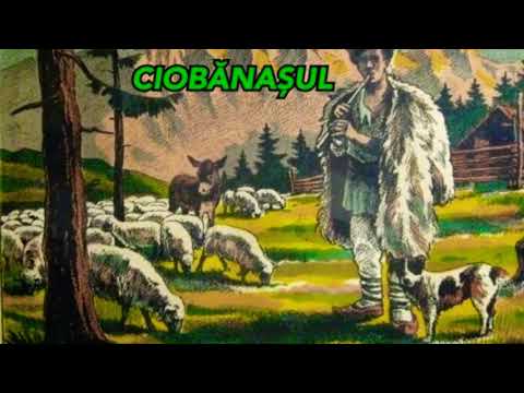 ⚡️TRĂSNET⚡️➖Ciobănașul