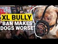 Banning UK's most dangerous breed makes XL Bullies 