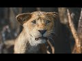 Mufasa The Lion King The Rain Storm I 4K Ultra HD