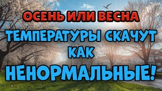 Download the video "ТУМАНЫ, ТЕПЛО И ДОЖДИ 🌫☀️ ОСЕНЬ РИСУЕТ СВОЮ КАРТИНУ В КАЗАХСТАНЕ! 🍁"