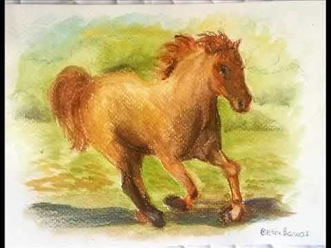 Orgullo Criollo  tango de Julio De Caro y Pedro Laurenz