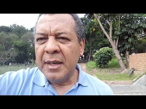 Mato toma conta do Cemitério de Vila Nova Cachoeirinha, em SP