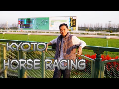 Kyoto JRA Horse racing ..umajo oktober 2018