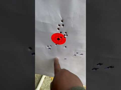 PSA 11.5  5 shot group