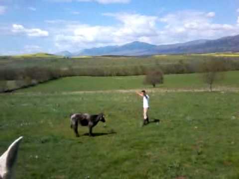 RECORTES CABANILLAS DE LA SIERRA