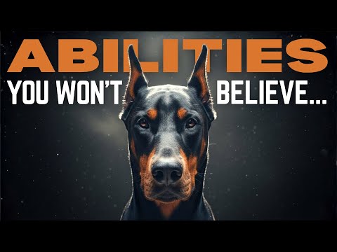 10 Doberman Superpowers You Only See When You Live With One