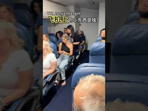 飞机上的小东西是啥？#shorts #趣事 #有趣